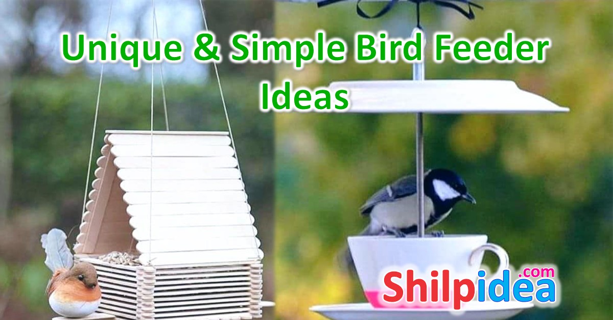 bird-feeder-ideas-shilpidea