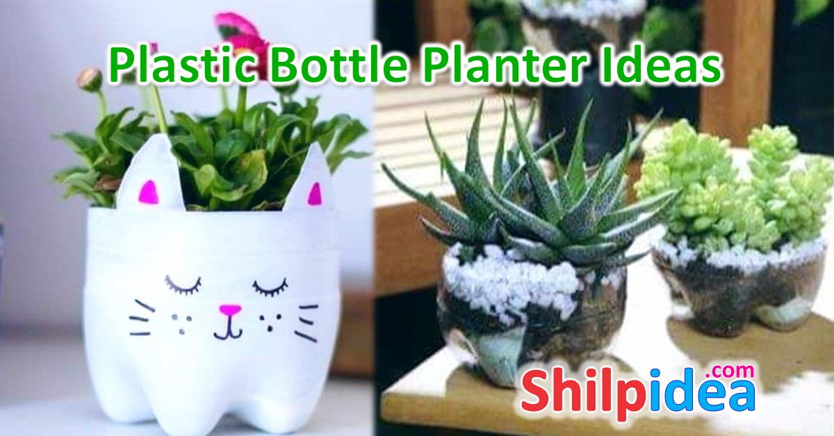 plastic-bottle-planter-ideas-shilpidea