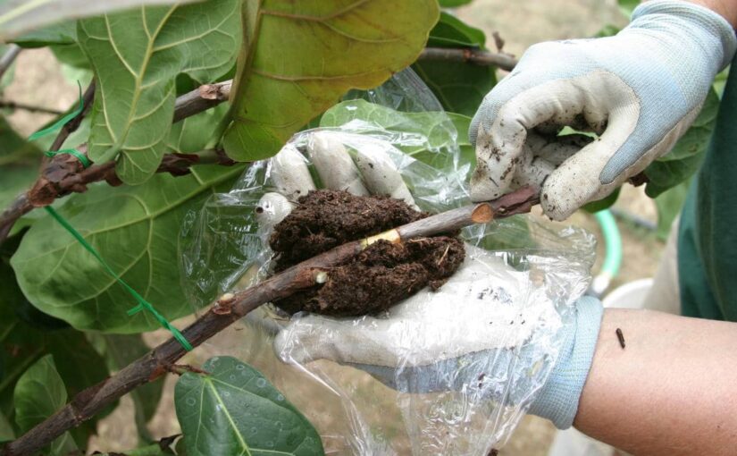 air-gooty-wrapping-shilpidea-min