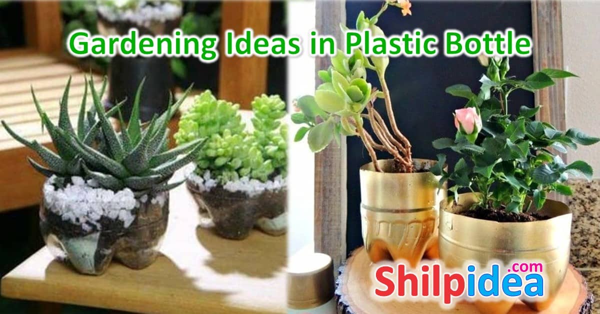 gardening-ideas-plastic-bottle-shilpidea