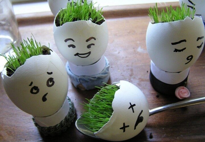 122_Egg Shell Crafts for Kids_5