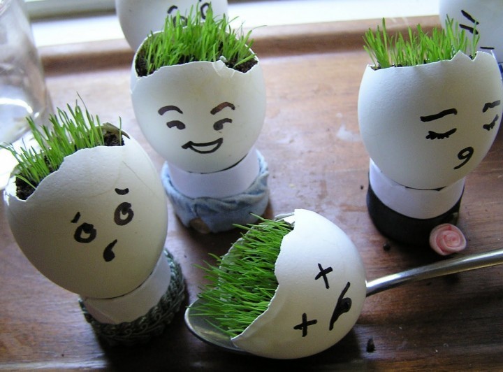 122_Egg Shell Crafts for Kids_5